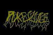 logo Puke Sludge logo Puke Sludge
